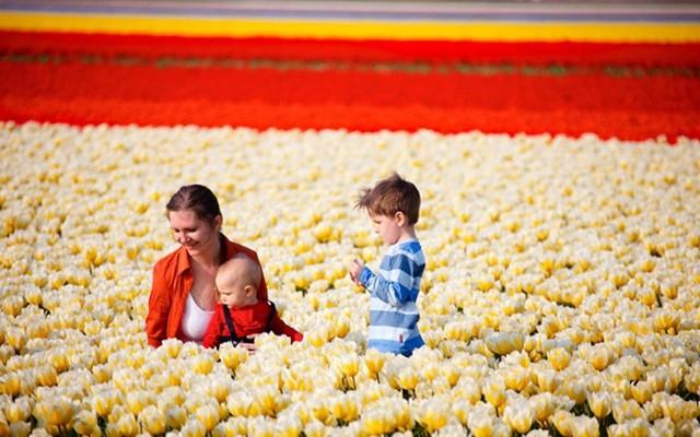 亚马逊代购中文站是正品吗? 如何找到有保证的靠谱代购?