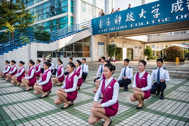 电子科技大学成都学院官网简介(电子科大成都学院)(3)