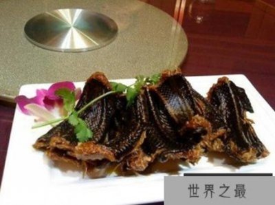 动物世界蛇的天敌大盘点,蛇獴只能算第二(第一竟是它)
