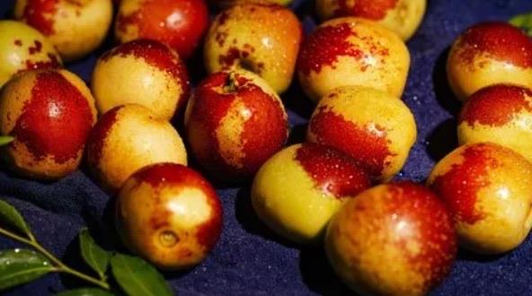 网络配图 网络配图