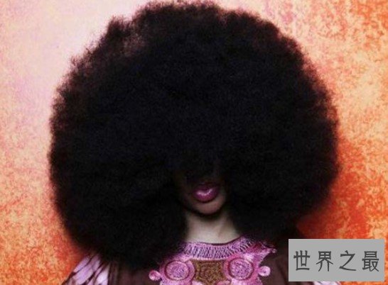 史上最大爆炸头,直径90厘米,周长1.5米,洗头都要两天才干!