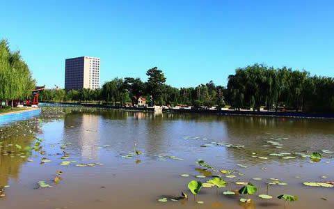 泊头市是属于哪个城市(河北泊头属于哪个市)