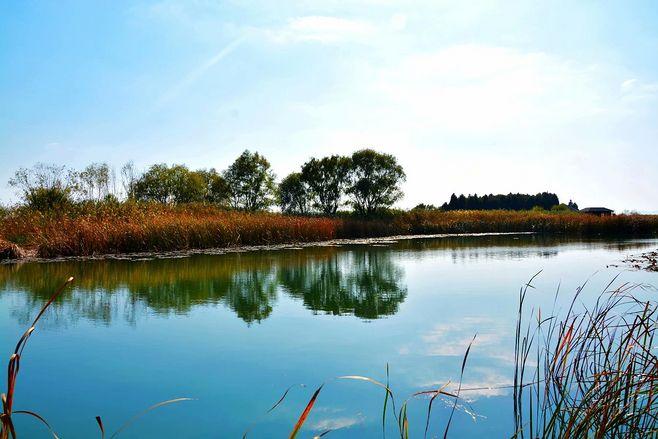 4、太湖湾湿地公园