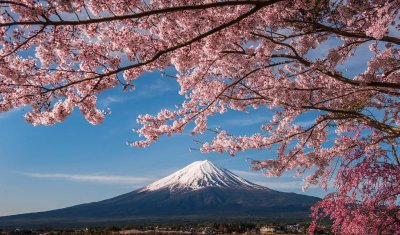 日本第三季 GDP 年率收缩 2.1%!货币政策正常化道路“遇阻”