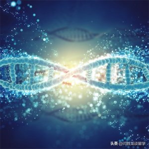 ​为什么有人会认为文科比理科简单？