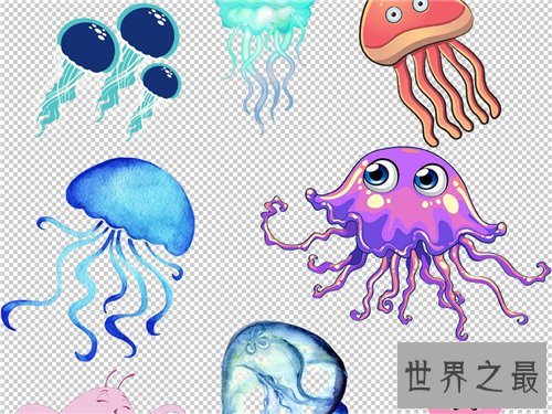 水母能吃吗 原来这样美味的菜竟然是水母