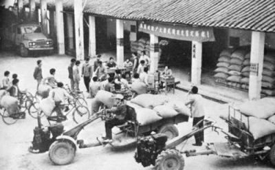 农民交公粮,什么意思?你参与过吗?