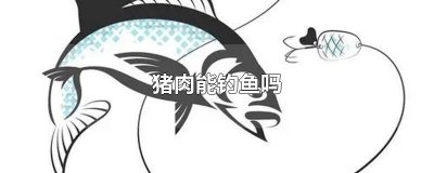 猪肉能钓鱼吗