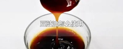 豆豉油怎么使用