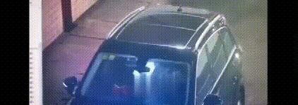 男女高速公路车震事件(一对男女高速隧道做不雅事)