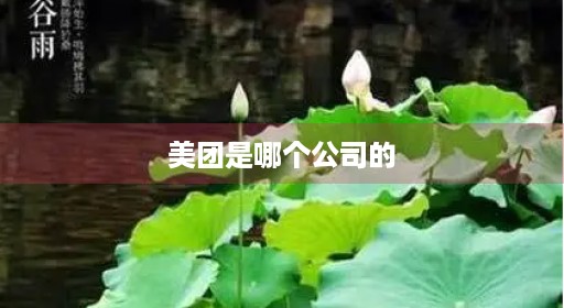 美团是哪个公司的 美团是哪个公司的