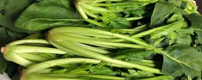 青菜怎样腌制咸菜 家常青菜的腌制方法