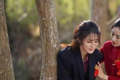 ​幸福到万家收视率最终多少亿