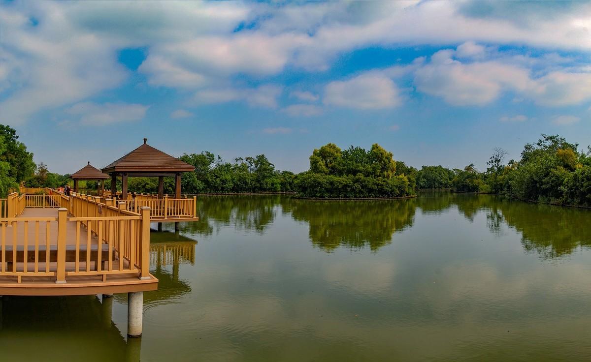 广州适合情侣游玩的地方有哪些(广州适合情侣去的旅游地方)