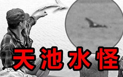 ​长白山惊现怪兽？长白山水怪再引轰动，科学揭秘天池深水传说！