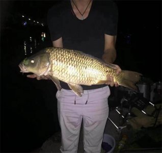 ​鲤鱼钓底还是钓浮好一点(鲤鱼钓法技巧野钓)