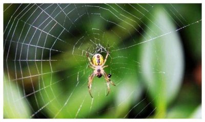 ​家中出现光宗耀祖的人的三大征兆，你遇到过吗？