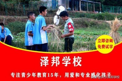 ​叛逆孩子全封闭小学学校 正规叛逆封闭学校多少钱