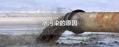 ​产生水污染的原因 城市水污染的原因