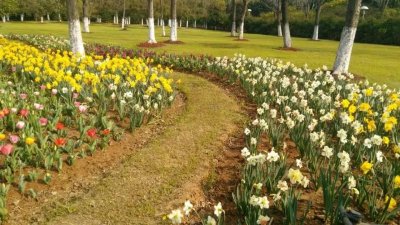 ​站在30楼往下看，都是美景