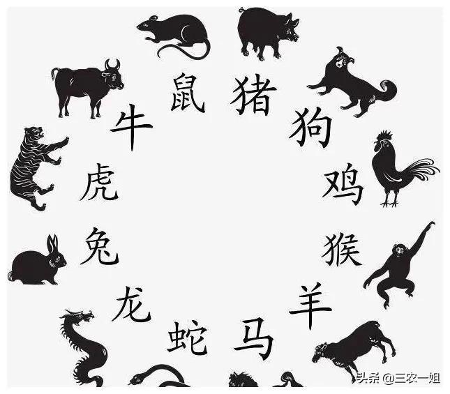 立春躲春能睡觉吗(打春可以睡觉吗)(图4) 立春躲春能睡觉吗(打春可以睡觉吗)(图4)