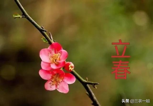 立春躲春能睡觉吗(打春可以睡觉吗)(图2) 立春躲春能睡觉吗(打春可以睡觉吗)(图2)