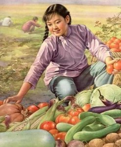 ​推荐三本穿越重生年代军婚文，女主重生，格外好看，越看越上瘾