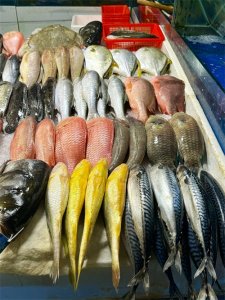 ​紧急辟谣！网传大连爆发XK5病毒致4人死亡？官方连夜回应！