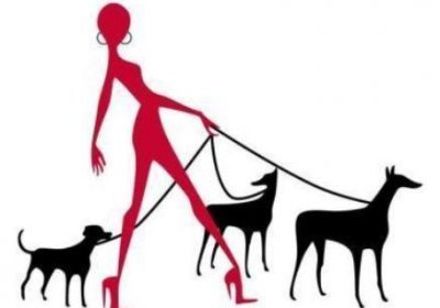 ​家里的狗狗咬了人！以前常听老人说咬人的狗不能留，得打死它