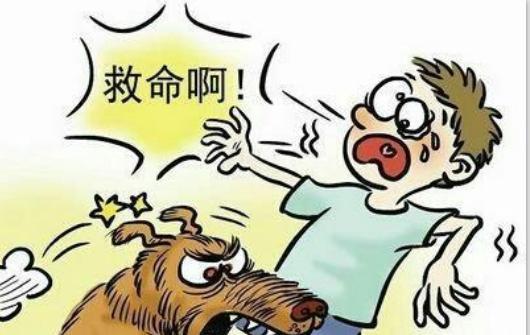 家里的狗狗咬了人！以前常听老人说咬人的狗不能留，得打死它