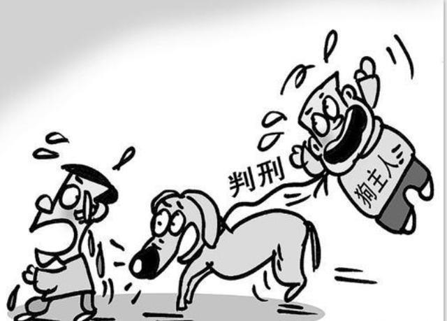 家里的狗狗咬了人！以前常听老人说咬人的狗不能留，得打死它
