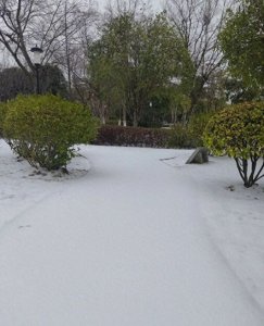 ​请查收！武汉交警公布实时路况