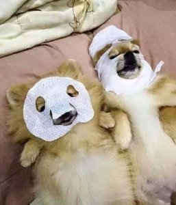 ​男士美白面膜测评实测第一名（男士面膜推荐）