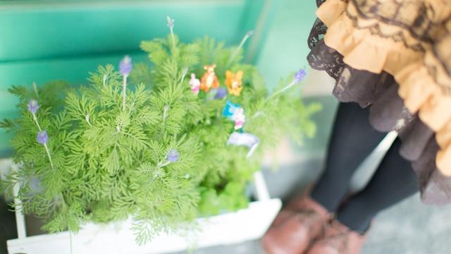 丐帮历代帮主排名(中国现在还有丐帮吗)