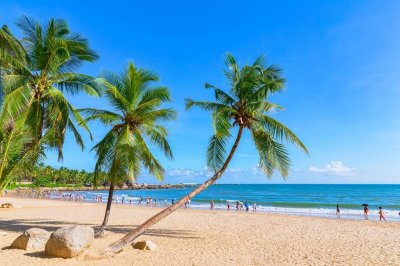 ​海南夏天到底有多热，你知道吗？北方候鸟表示接受不了！