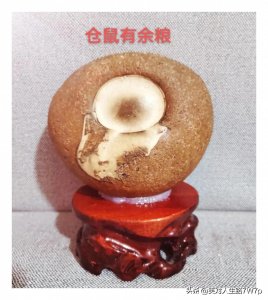 ​一块普通石头的故事