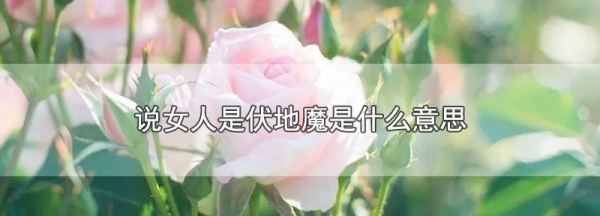 伏地魔是什么意思,形容女人伏地魔是什么意思图1