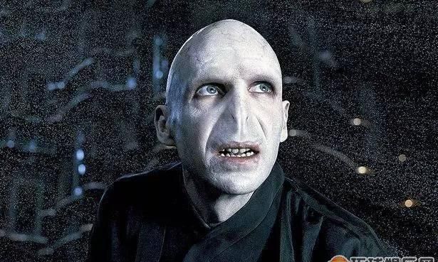 伏地魔是什么意思