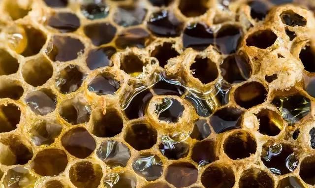 蜂皇浆和蜂王浆的区别，蜂王浆冻干片和蜂王浆有区别吗？图3