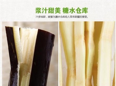 ​甘蔗为什么甜，我想种甘蔗但不知道除了施肥还有什么方法使甘蔗更甜？