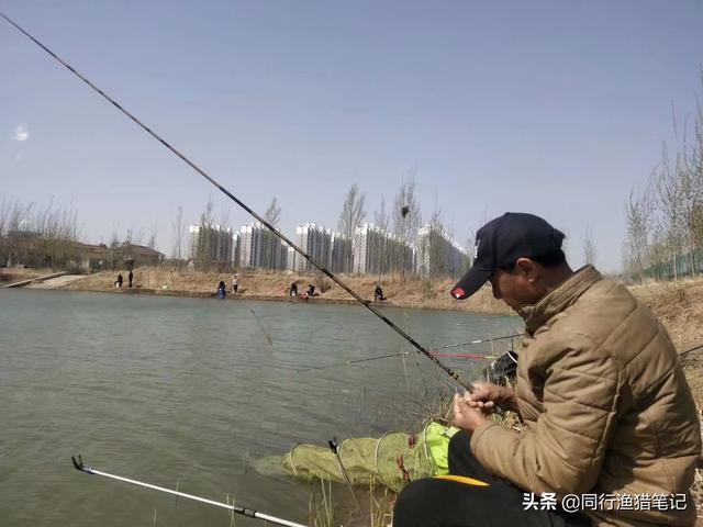 钓鲤鱼正确的方法（五个技巧送给你）(6)