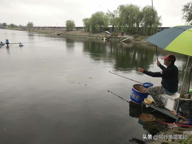 钓鲤鱼正确的方法（五个技巧送给你）(2)