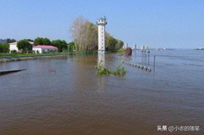 ​哪些因素导致了98年大洪水