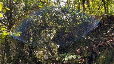 ​不轻传的呼吸法：张义尚秘传“易筋经”呼吸吐纳三个步骤详解