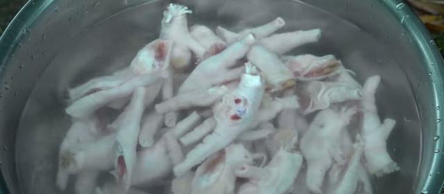 泡椒凤爪正宗家庭做法（绝对不能错过的家常泡椒凤爪做法）(2)