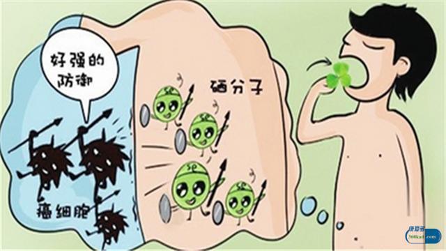 富硒酵母片的功效及适应人群（补硒的硒酵母片都适合哪些疾病患者）(2)