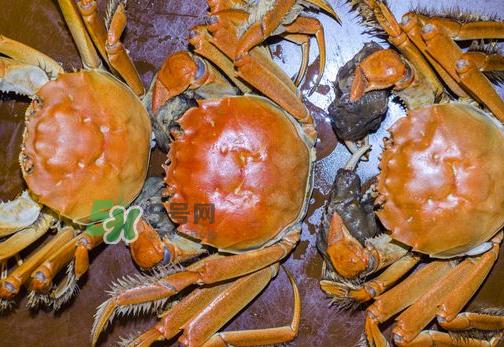 大闸蟹可以带上高铁吗？坐高铁可以带大闸蟹吗？