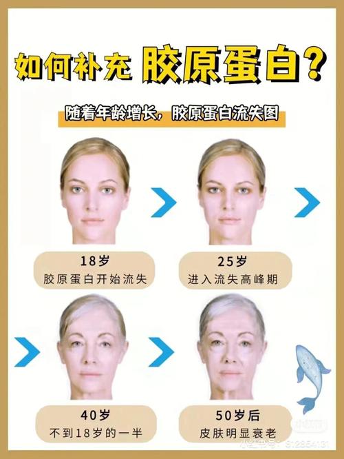 皮肤如何补充胶原蛋白（四点教你护肤）