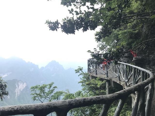 张家界凤凰旅游自由行攻略最新(张家界凤凰详细旅行攻略)(36)