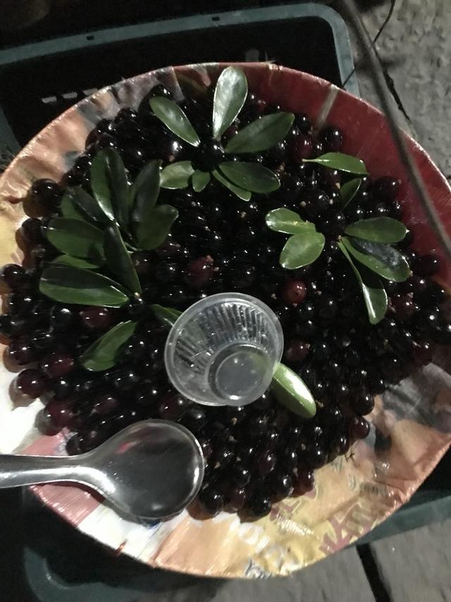 张家界凤凰旅游自由行攻略最新(张家界凤凰详细旅行攻略)(50)